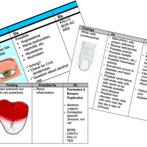 Physical Analysis Guide